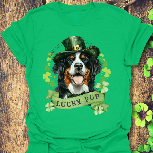 St. Patrick’s Day t-shirt featuring a bernese mountain dog with a shamrock garland and festive Irish design
