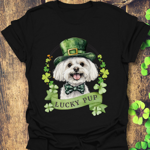 St. Patrick’s Day maltese black dog t-shirt with a lucky shamrock print, great for dog lovers