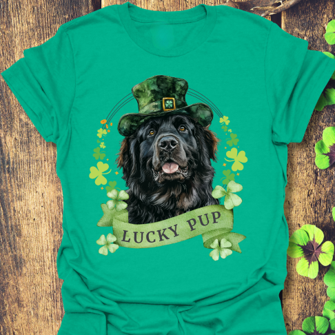 St. Patrick’s Day newfoundland dog kelly green t-shirt with a lucky shamrock print, great for dog lovers