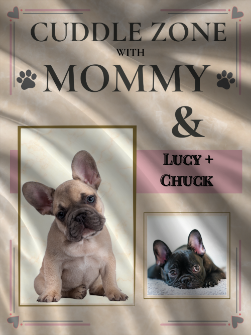 customized Shpera fleece dog mom gift blanket frenchie