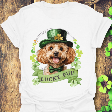 St. Patrick’s Day white t-shirt gift for dog lovers featuring a toy poodle dog with a shamrock garland and festive Irish design