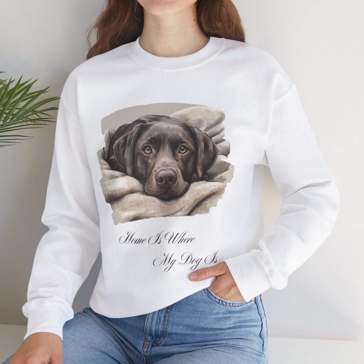 Chocolate Labrador Retriever Sweater