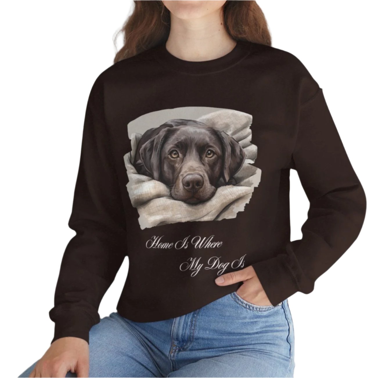 Chocolate Labrador Retriever Sweater