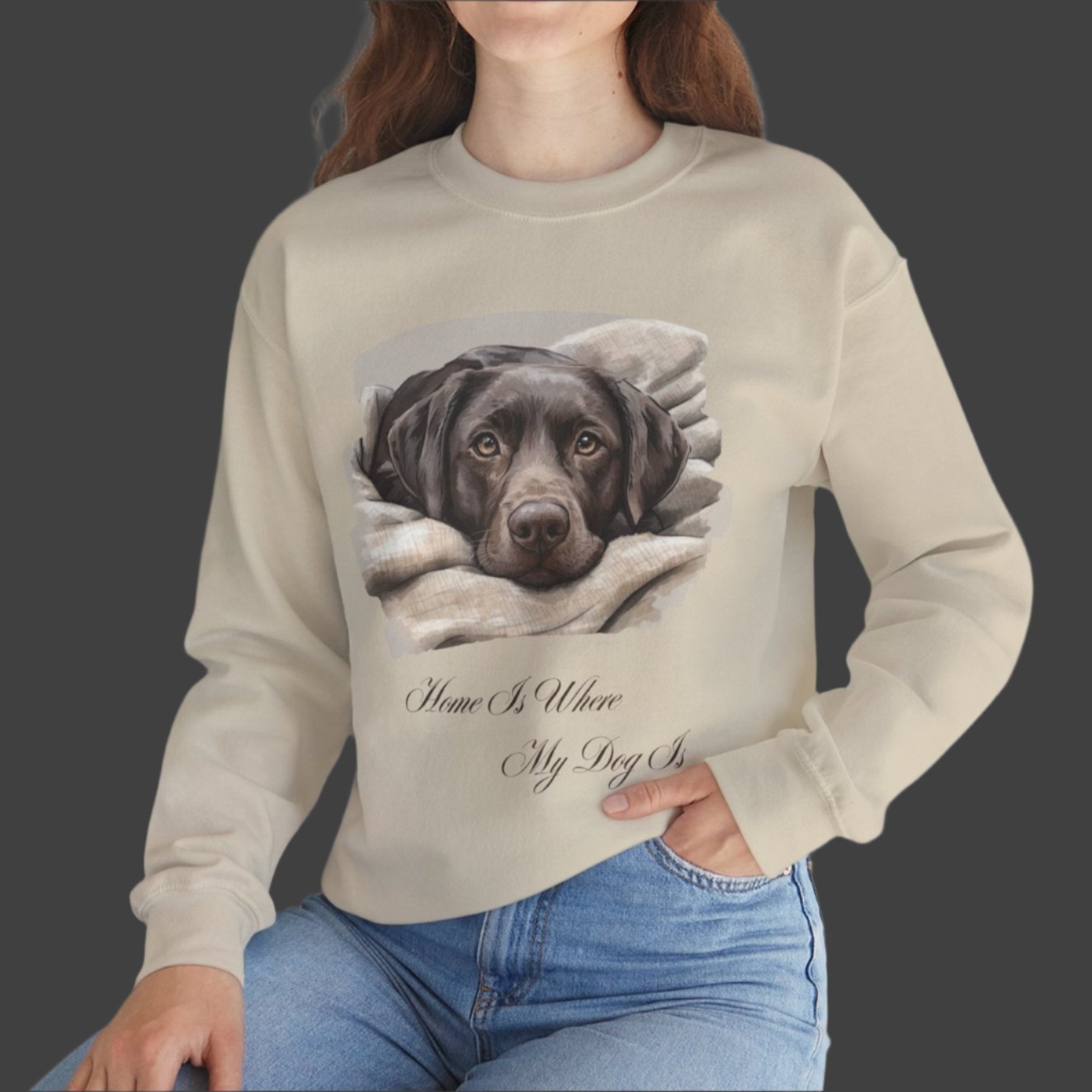 Chocolate Labrador Retriever Sweater