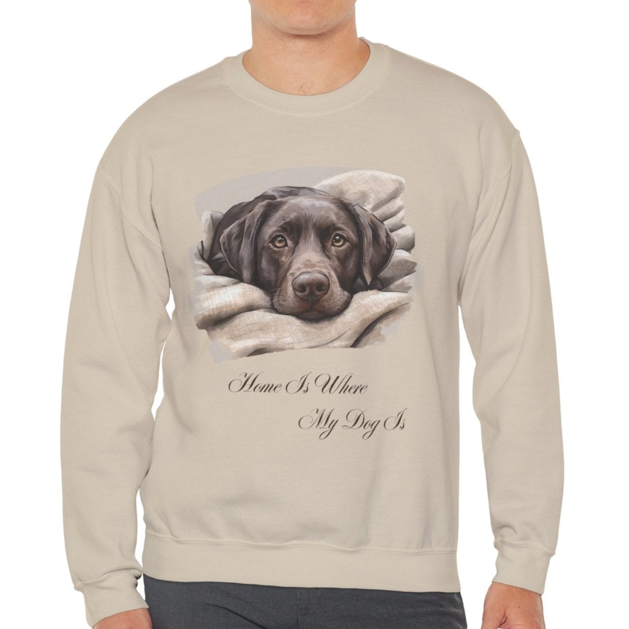 Chocolate Labrador Retriever Sweater