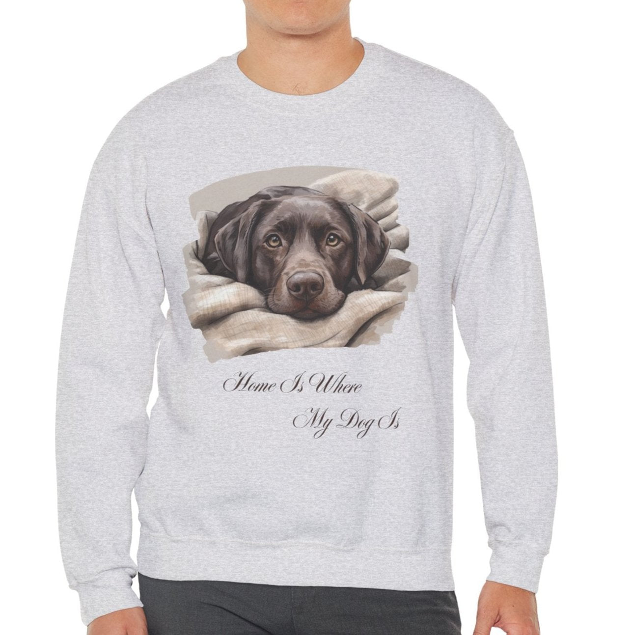 Chocolate Labrador Retriever Sweater