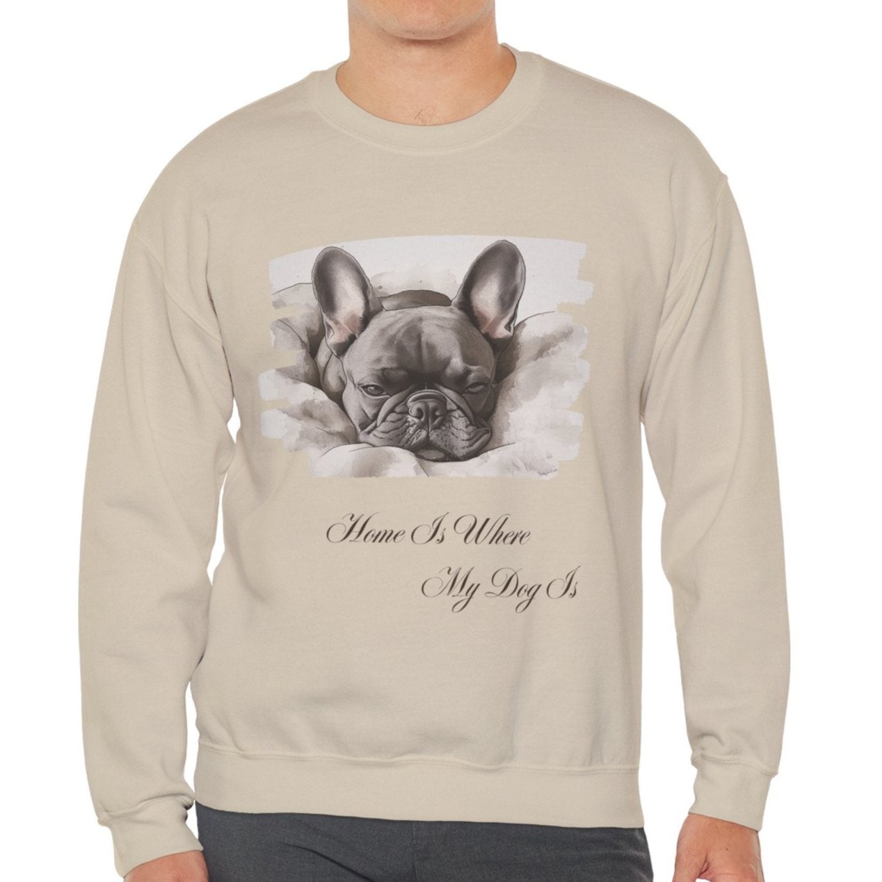 french bulldog sweater sand