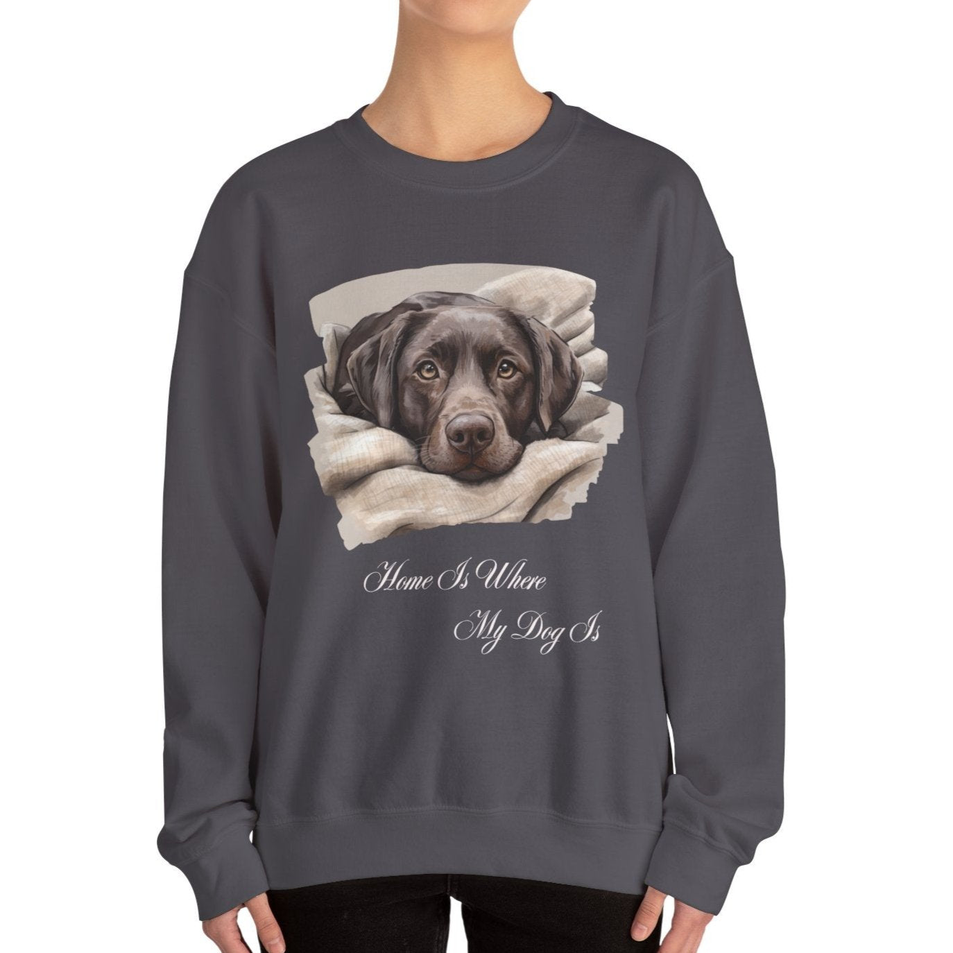 Chocolate Labrador Retriever Sweater