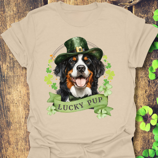 bernese mountain dog st. patrick's day t-shirt sand