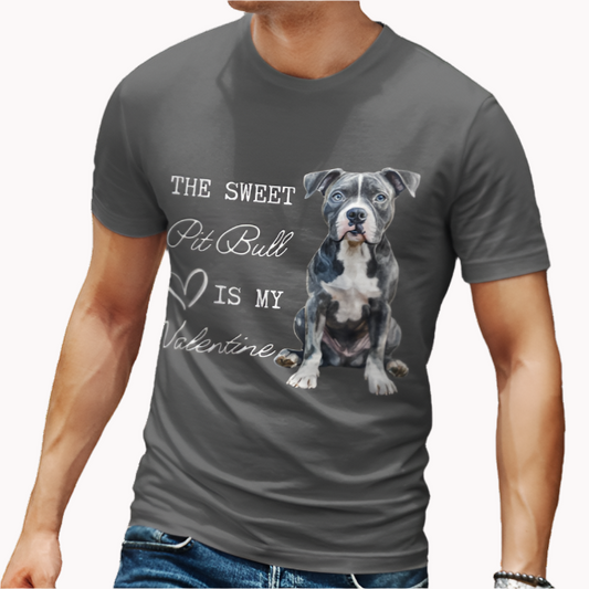 pit bull valentine tee dark heather