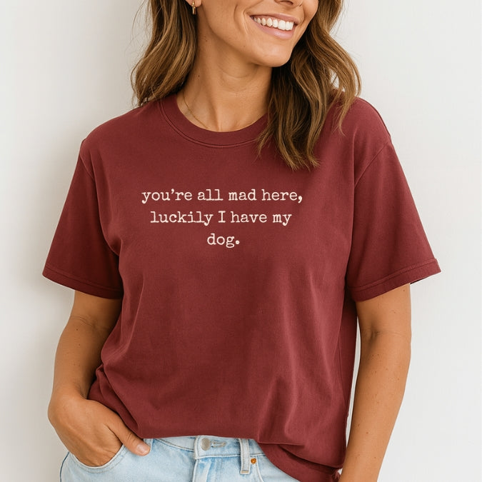Person wearing a maroon t-shirt with a humorous quote on a plain background