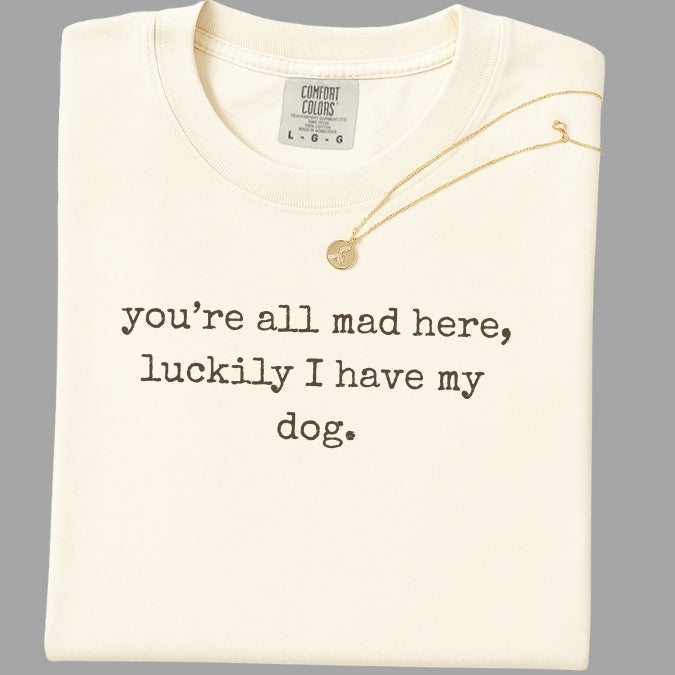 Folded ivory shirt with text 'you're all mad here, luckily I have my dog.' and a necklace on a gray background.